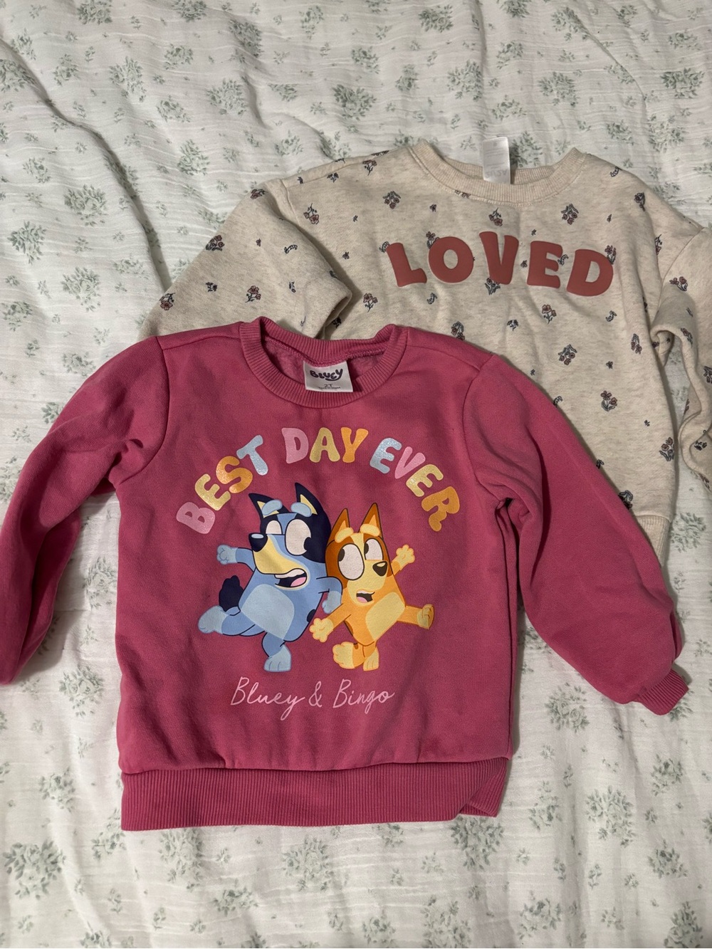 Carter's “Loved” and Pink "Best Day Ever" Crewneck Sweatshirtswith Bluey & Bingo